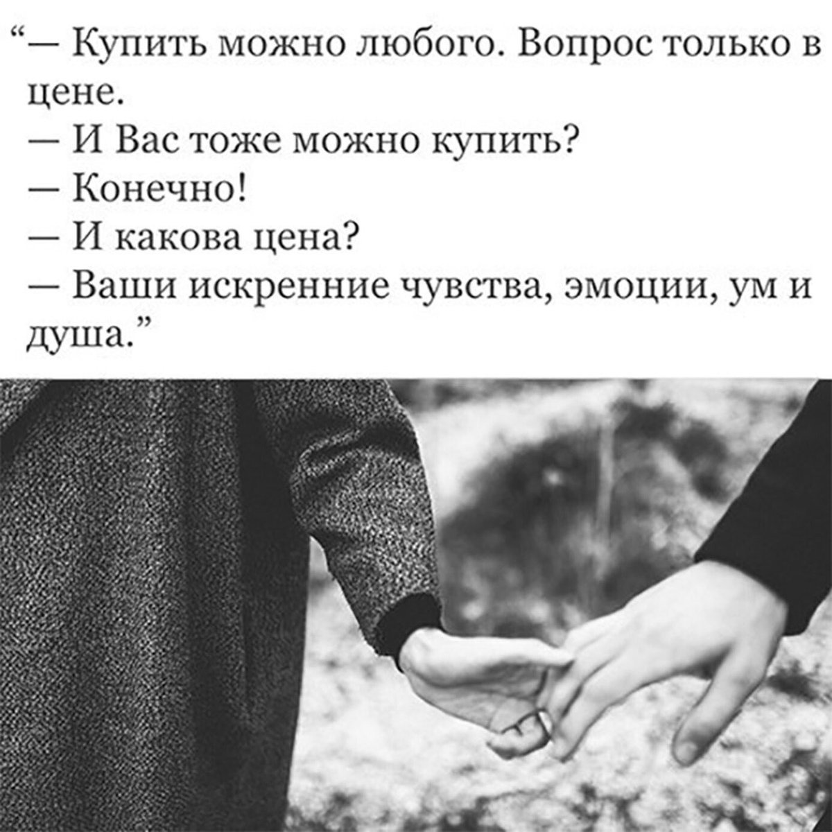 Sasha Petrov tweet media