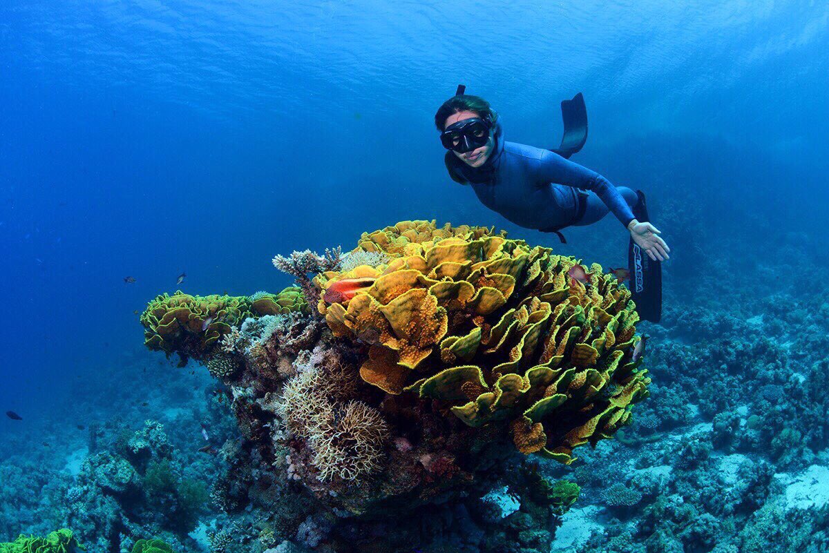 sahikaercumen's tweet photo. 💙 Gelecek nesil daha yaşanılabilir bir çevre hakediyor. #dünyaçevregünü #WorldEnvironmentDay 📷 @tahsin_ceylan https://t.co/g3TkCyyOBv