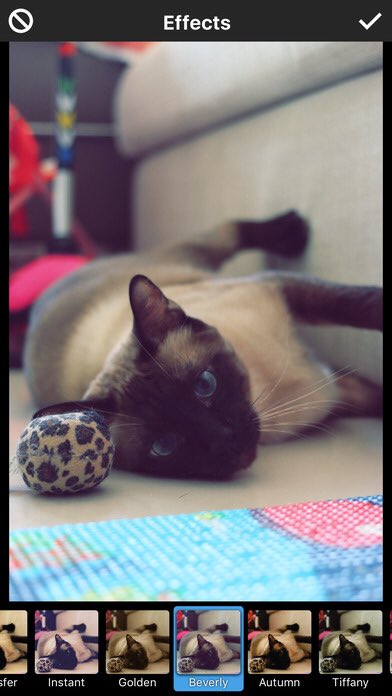 instaflashpro's tweet image. Get Instaflash Pro for iOS for FREE this week.  Celebrating WWDC 2017! itunes.apple.com/us/app/instafl…