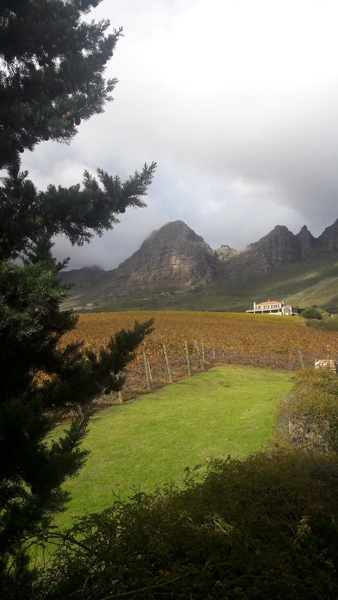 livingitupct's tweet photo. {BLOG POST} No driving required! Explore the #Stellenbosch winelands with a private tour guide 🍷🚌 😀 https://t.co/j3rjWiOPXM #DoStellies https://t.co/GvDowqg3Q6
