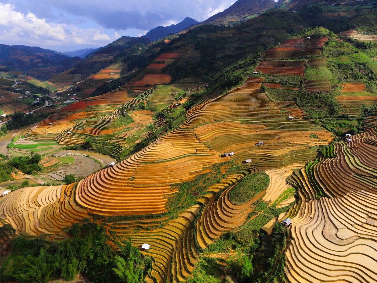 wonceptual's tweet photo. #checunha #vietnam #agriculture #countryside #green #highangleshot #cropland #mountain #hill #rural #summer https://t.co/lONcFsTMxy