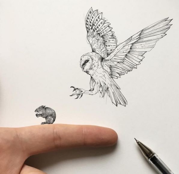 sowa_mowa's tweet photo. #Owl #Bayqus #Hontza #Pancha #Sova #Ugle #Hibou #Curuxa #Buho #Ugla #Peleda #Noctuea #Puce #Kokka #Eule #Coruja #Uggla #Tylluan #Bagoly #Cu https://t.co/JQCsbvelZW