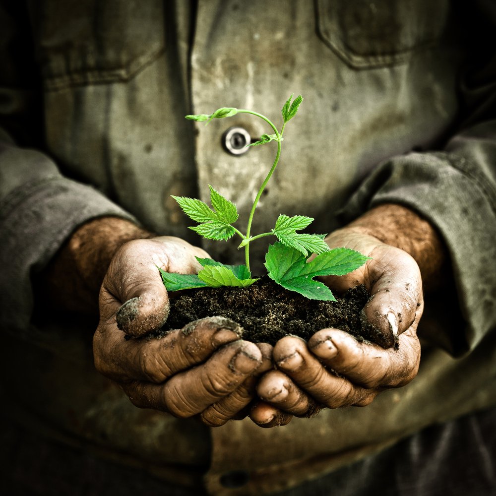 Proyectos Verdes tweet media
