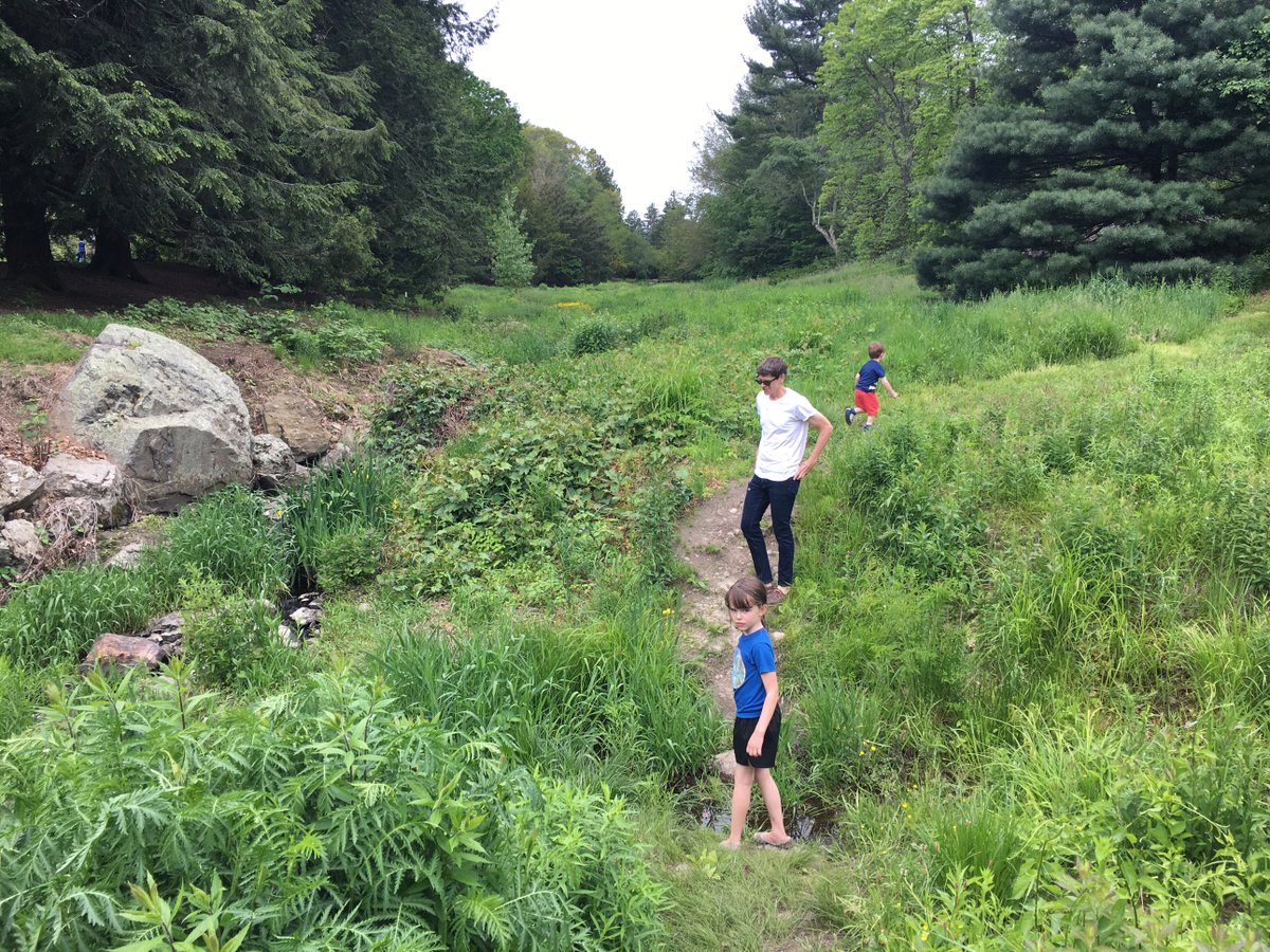 sarah kaney tweet media