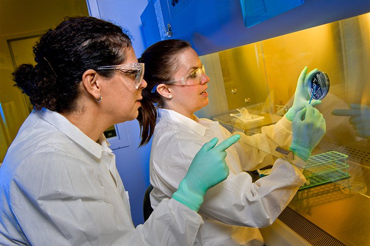 CDCgov's tweet photo. Learn thru hands-on experience and mentoring from CDC laboratory scientists. Apply for #CDCLLS now thru July 17. https://t.co/Ph9anqm7RY https://t.co/Eh88WkUtXT