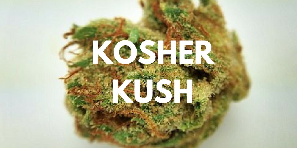 ThinkTankExile's tweet photo. Indica strain awarded many Cannabis Cup titles from 2010 to 2012, including Best Indica &amp; Strain of the Year https://t.co/OkhKbeHQVu https://t.co/TVuz9ZOM0c