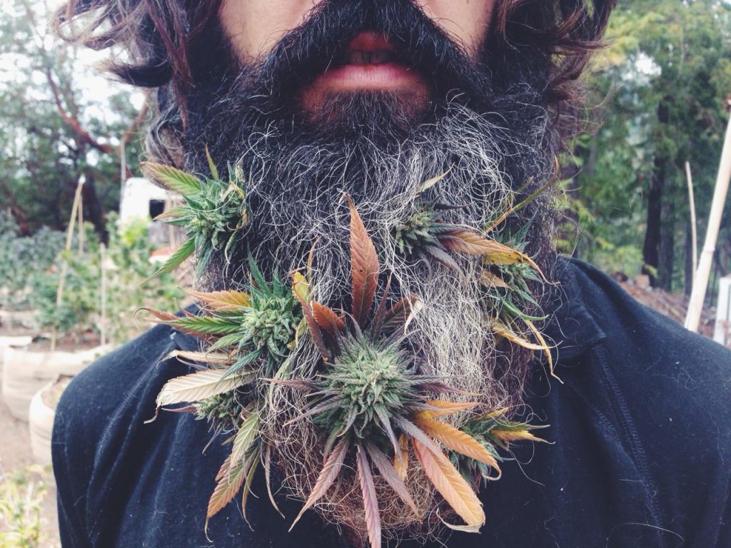 MendocinoGroup's tweet photo. 7 best beards in the world of #Cannabis https://t.co/N9Z9fZqZdK via @DoctorFranklive https://t.co/mRFPzlAZYF