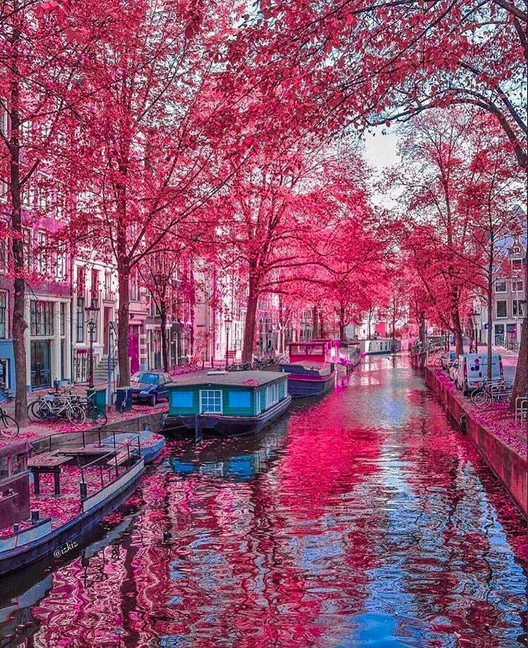 BucketListFeed's tweet image. Amsterdam, Holland 🇳🇱