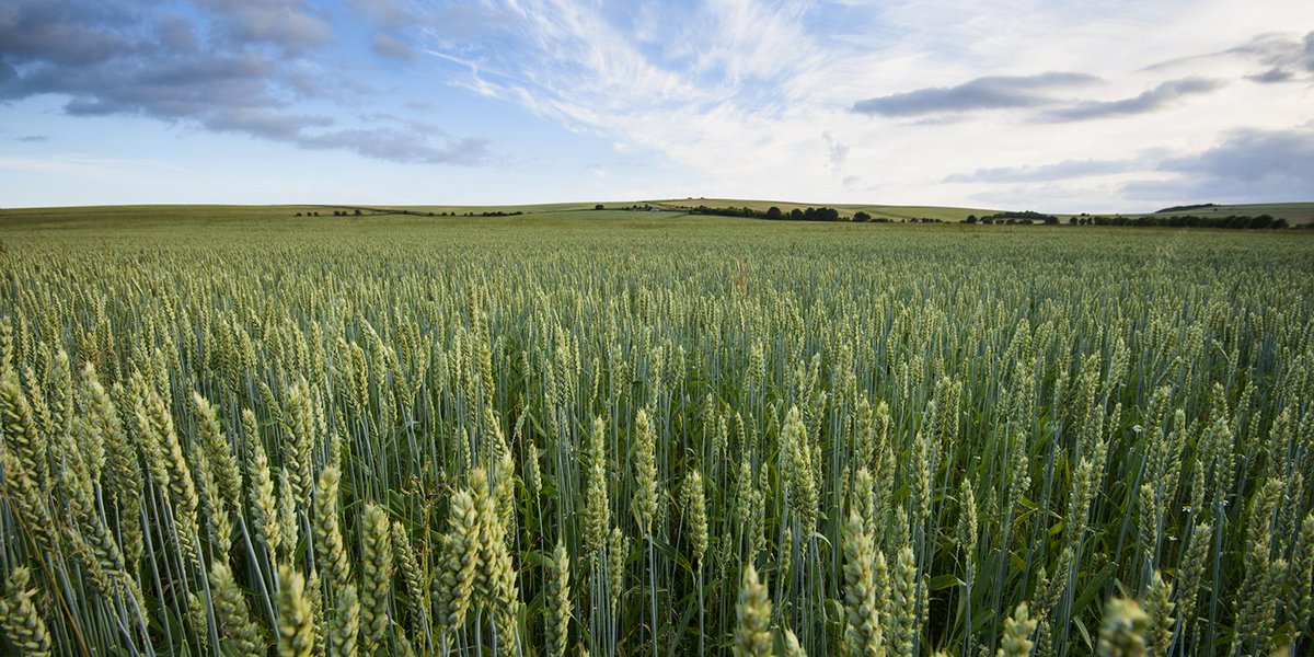 We think the next Government should prioritise climate-friendly farming. Do you? ow.ly/2mpo30c2Bbh