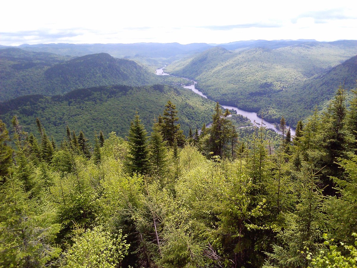 Explore Our Land tweet media