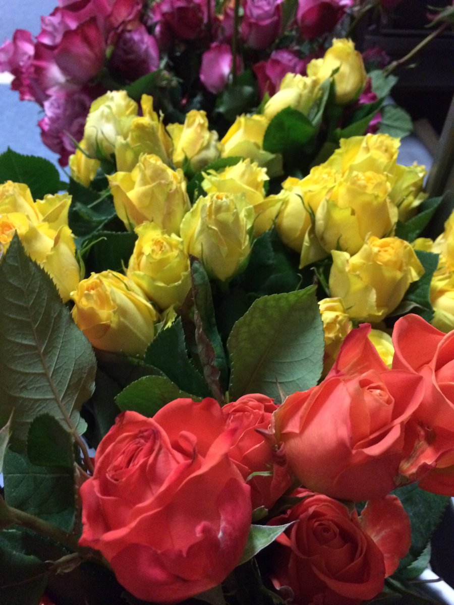 OrchPM's tweet image. 500 gorgeous roses prepped and ready to sell at PMHS graduation tomorrow! #SupportTheArts 🌹🎹