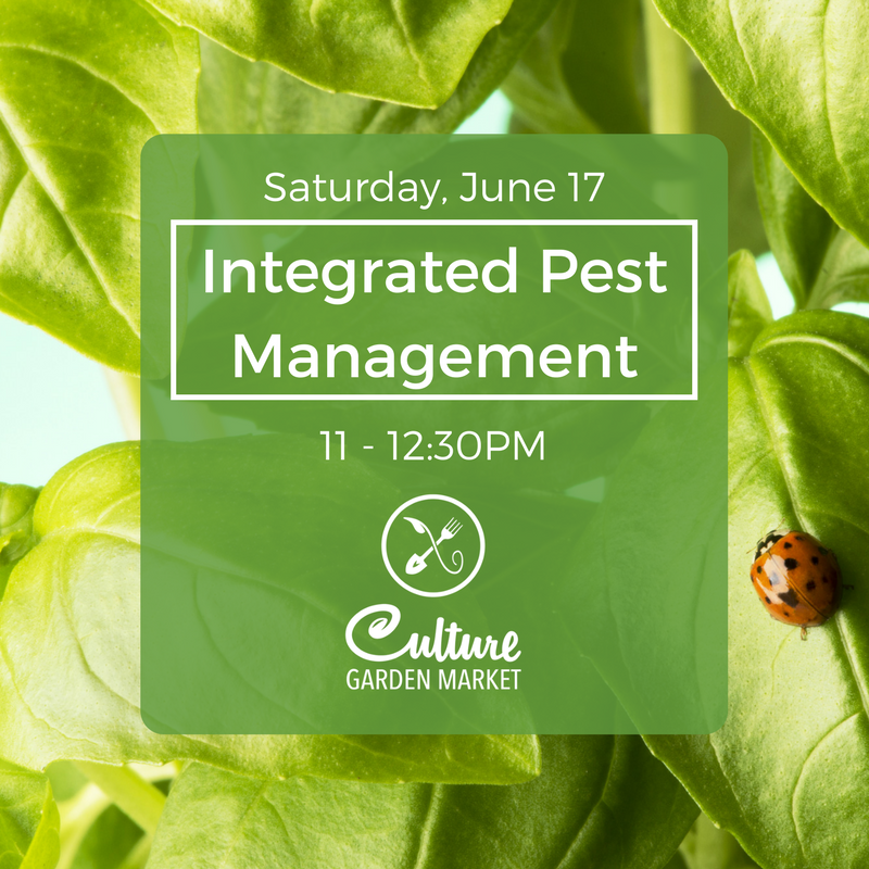 TheCultureStore's tweet photo. Sick of unwanted pests? Learn how to control them. 🌱🐞 #coloradogrown
Tickets and more info: https://t.co/6ao8DbVbED https://t.co/CI3sGEOOxp