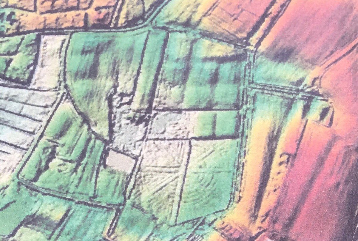 Tuin(?)structuur in Gijzenrooi+relict watertoevoer, bij#Eindhoven, Rob Brinkhof (Groene Delta Den Bosch) legt het voor aan Carla Oldenburger