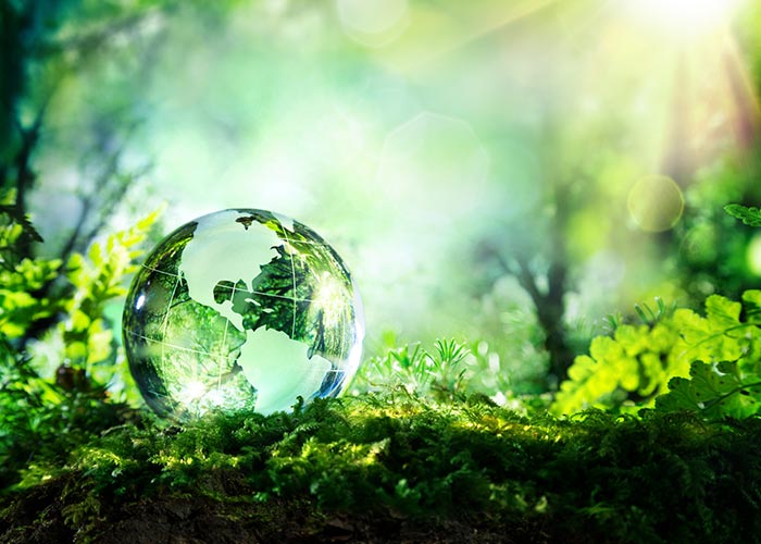 USFHealth's tweet photo. Happy #WorldEnvironmentDay! #GoWildForLife For more on this day: https://t.co/HHXWcU4FCY https://t.co/vqOoDWY7vH