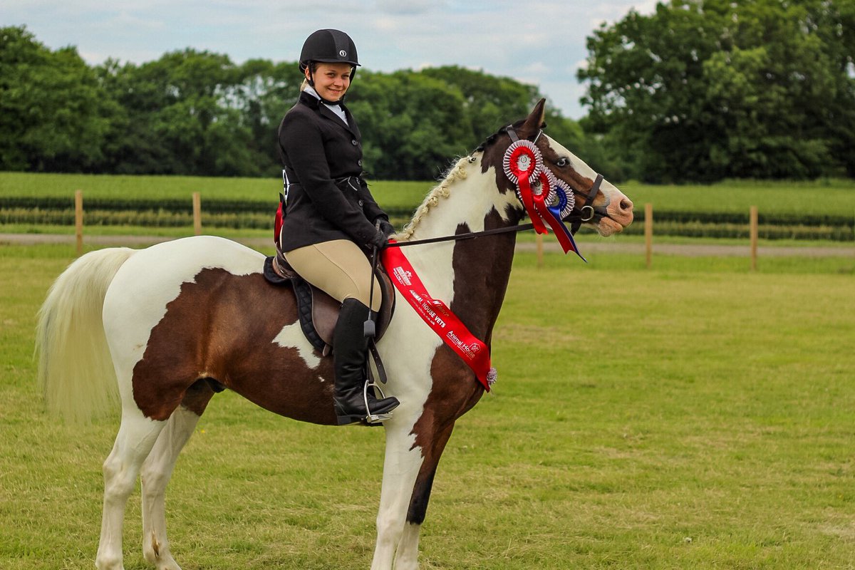 For those of you asking yesterday here is Mr. Zebedee with all his prizes from showing &amp; jumping! <a href="/HorseHour/">#HorseHour</a> #HorseHour #EquineHour