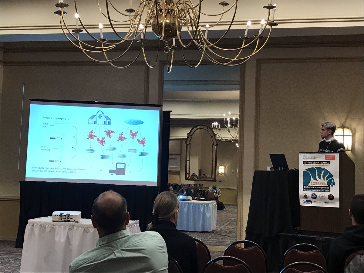 Corey Holt gives interesting talk on his PhD - microbiome of LG2 juvenile lobsters at #ICWL11 <a href="/PadstowLobster/">NationalLobsterHatch</a> <a href="/CefasGovUK/">Cefas</a> <a href="/UniofExeter/">University of Exeter</a>