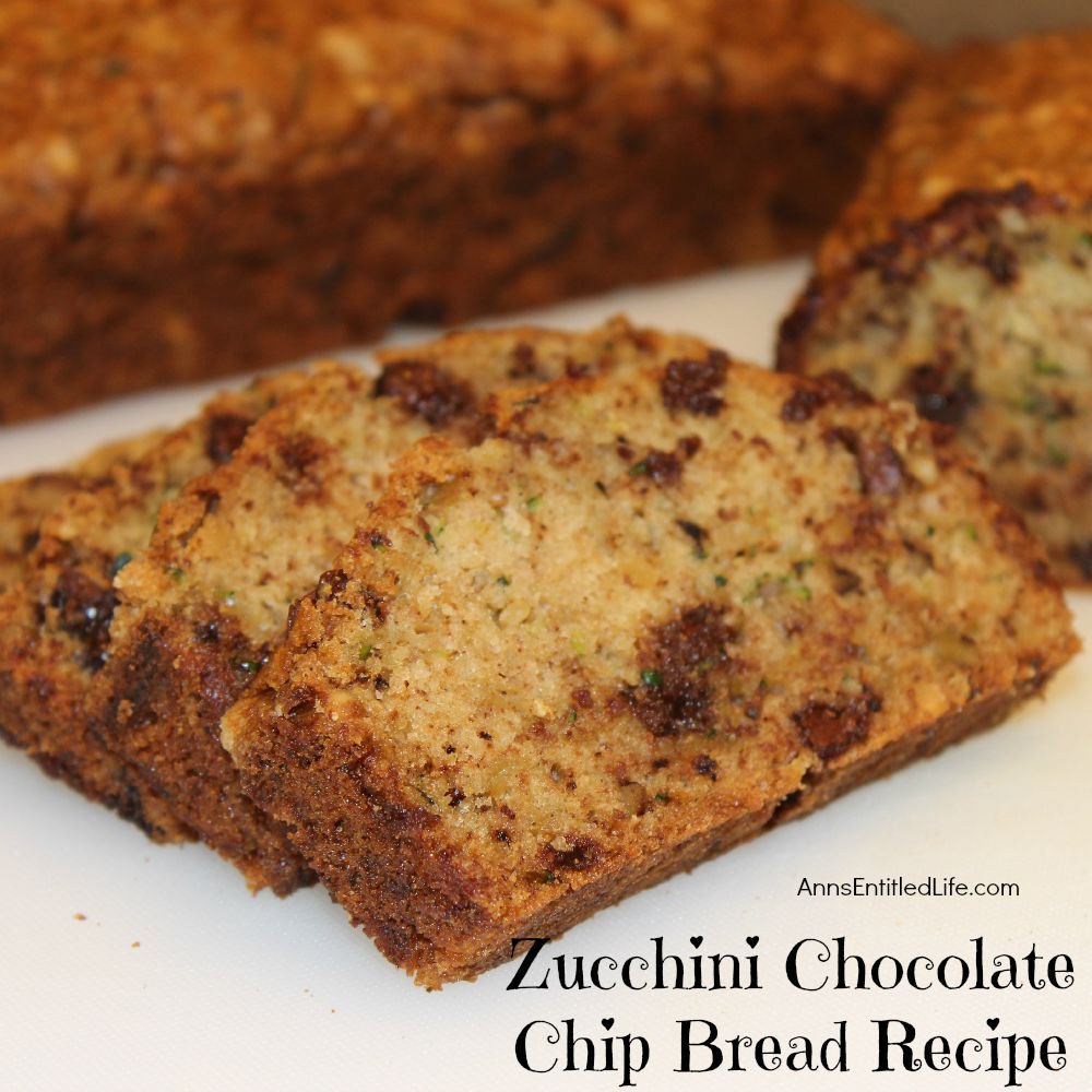Anns_Life's tweet photo. Zucchini Chocolate Chip Bread #Recipe https://t.co/yxQO0kES4g #summer #recipeoftheday #recipes https://t.co/DI4gcSD0PA