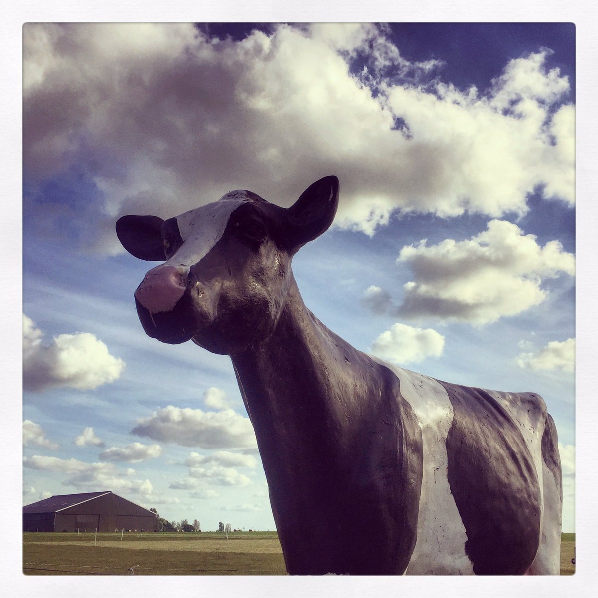 SjDepp's tweet image. Artviewer, de koe van  Oudemirdum.