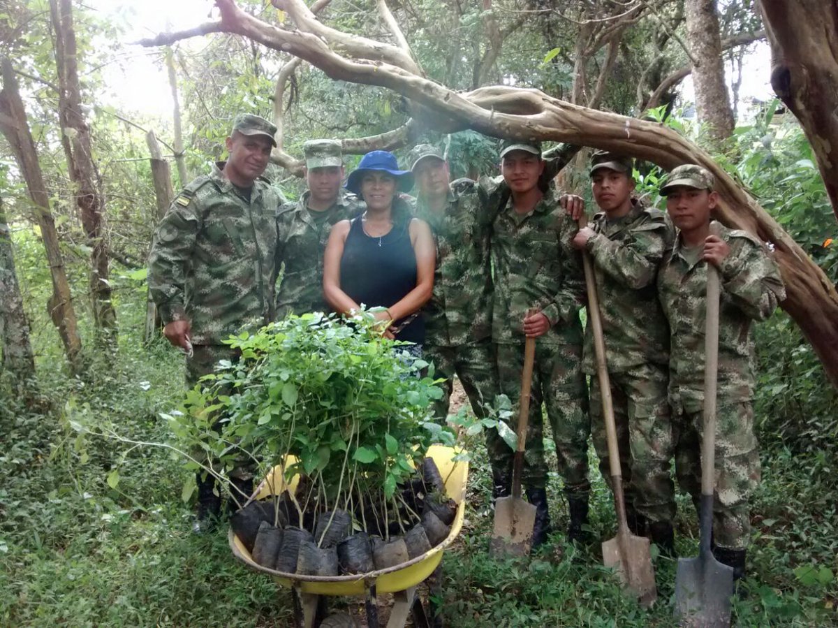 Ejercito_Div3's tweet photo. #HéroesMultimisión del #Bilop conmemoraron el #DíaMundialDelMedioAmbiente con la siembra de 100 árboles en la quebrada Yambitara #Popayán https://t.co/Pq80jJhERY