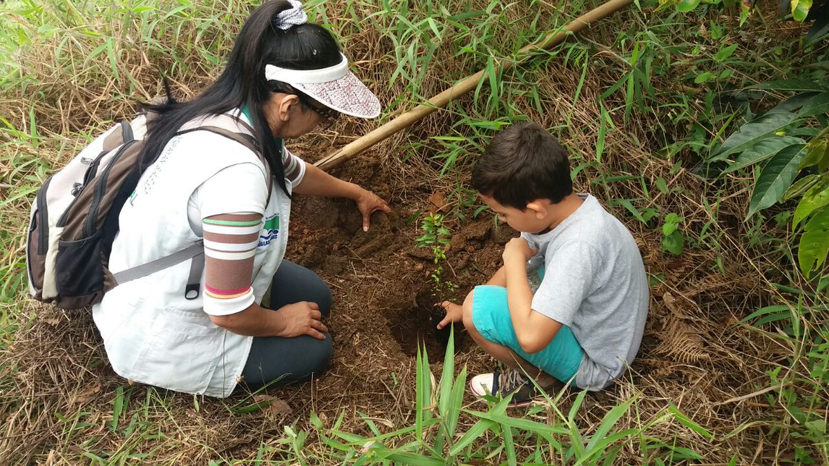 Ejercito_Div3's tweet photo. #HéroesMultimisión del #Bilop conmemoraron el #DíaMundialDelMedioAmbiente con la siembra de 100 árboles en la quebrada Yambitara #Popayán https://t.co/Pq80jJhERY