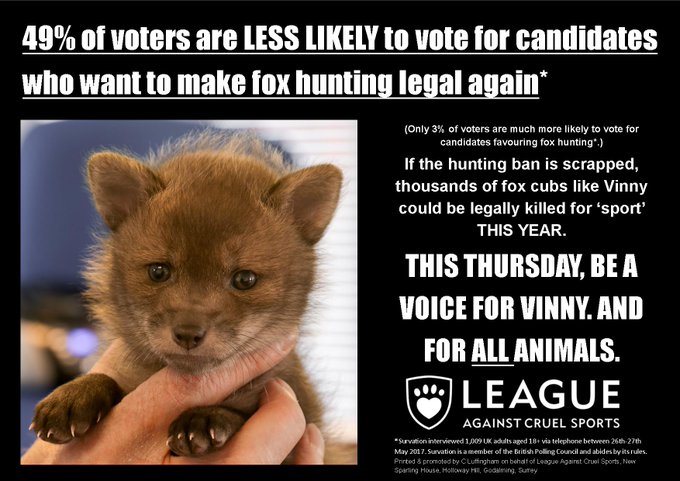 View image on Twitter