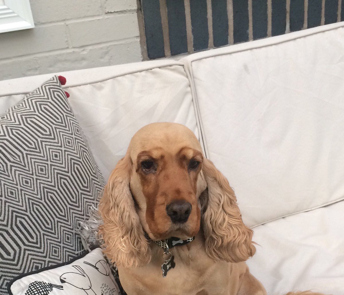 Mollie Edensor tweet media