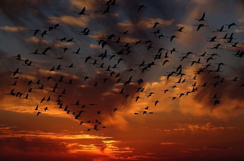 BHistoricSav's tweet photo. Study nature, love nature, stay close to nature. It will never fail you. #BHistoric #WorldEnvironmentDay #Environment #Nature https://t.co/NOTyDITApD