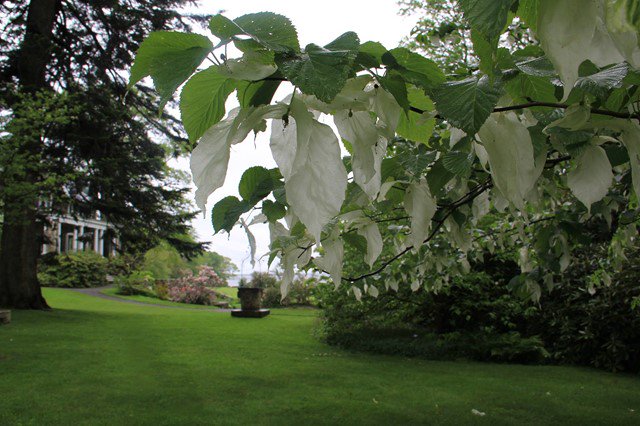 RROADSus's tweet image. New Historical : Blithewold Mansion, Gardens and Arboretum at RROADS.us. See what is new! RROADS.us/LocInfo/Detail…