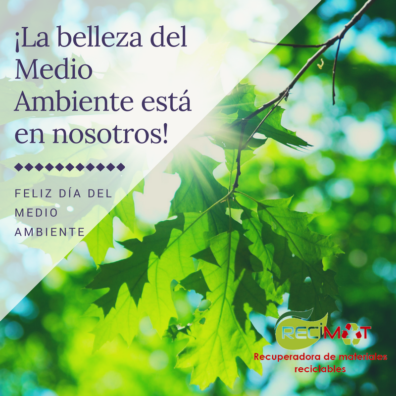 Hoy #DiaMundialdelMedioAmbiente queremos recordarte la importancia de reciclar para mantener un mundo lleno de magia y belleza 🍃❤️