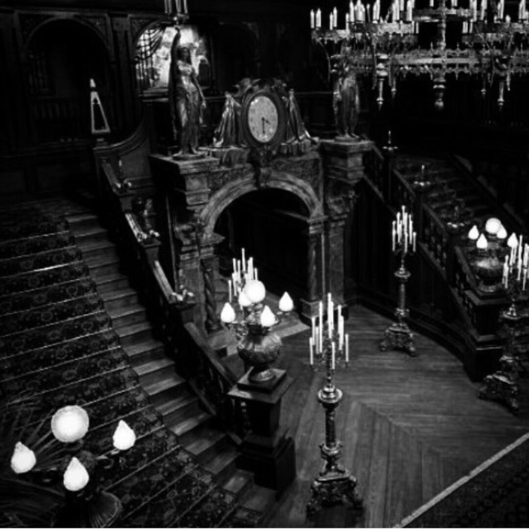 Housekeeping would be a nightmare but living here would be a DREAM! 
#gothicdecor #gothichome #gothicbedding