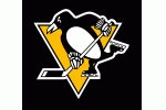 StoneBear77's tweet photo. #LetsGoPens #GameFour #HockeyNight #CmonLetsDoThis π§ π π https://t.co/OzG80MLmJa