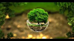 MarlithCZ's tweet photo. El Medio Ambiente es de todos y es responsabilidad de cada uno de nosotros cuidarlo. 
05 de junio, Felìz día del Medio Ambiente.. ♡ https://t.co/zktZgp3HIr