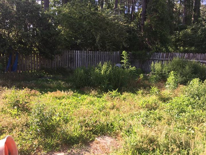 snarkbiscuit's tweet photo. #RollerRock #YARDMAX #SaberGrill #GreatBackyardSweep https://t.co/mGBKEOVz6e