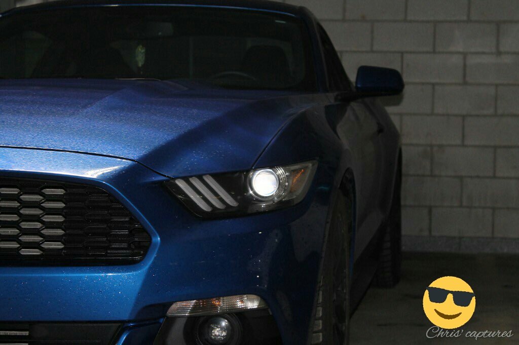 mudtoke's tweet image. 