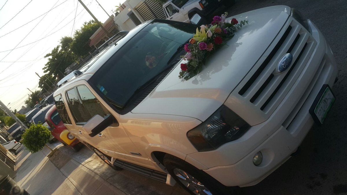 CaboGroundS's tweet photo. Leisure, Wedding, Airport, Trips? Contact #Cabo Ground Services info@cabogroundservices.com https://t.co/k5X7aZZW3a