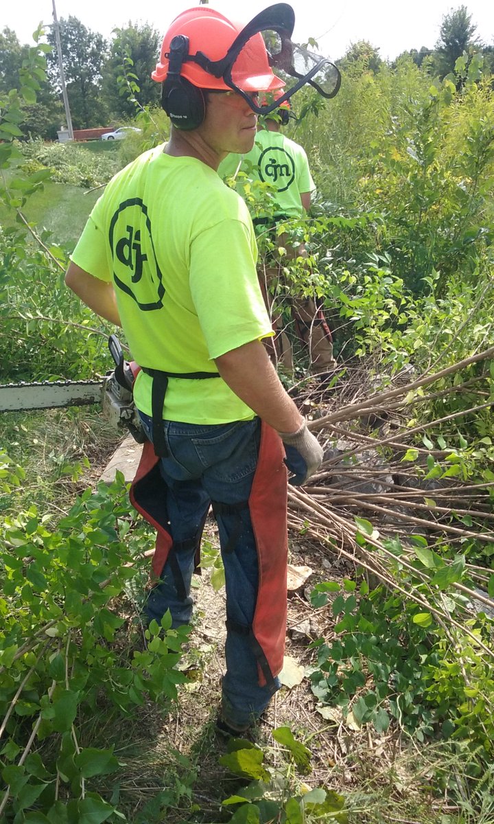 DJM_Ecological's tweet photo. Our work days are always spent #WithNature &amp; wouldn't have it any other way! Happy #WorldEnvironmentDay! https://t.co/jeIp1P5v0L https://t.co/IUnoFK15Fj