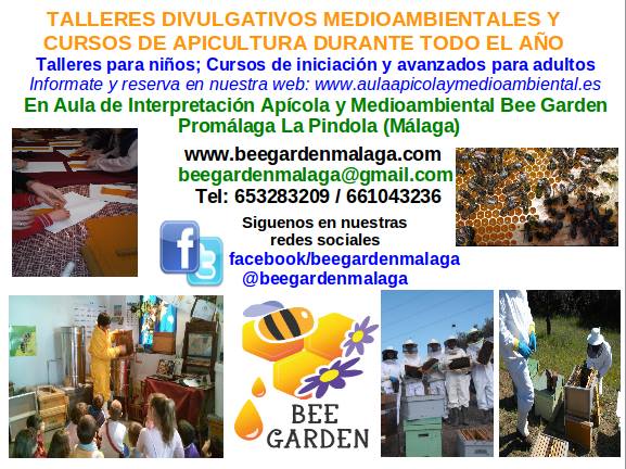 BEE GARDEN tweet media