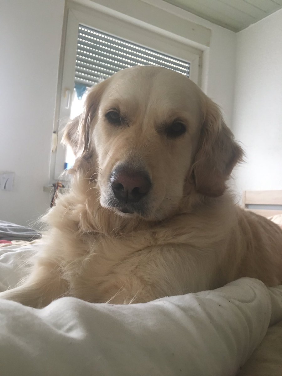 hambertv's tweet image. 