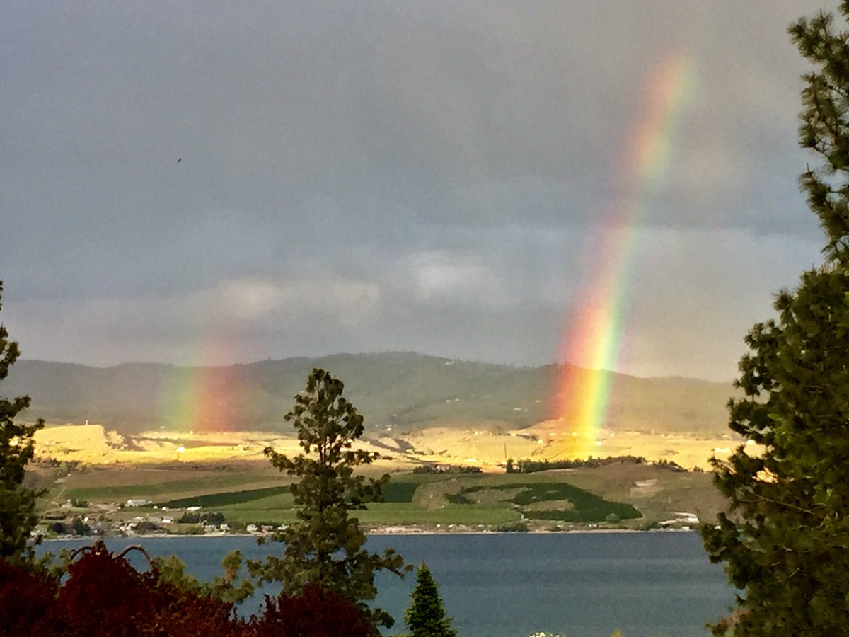 Lakeside Lodge tweet media