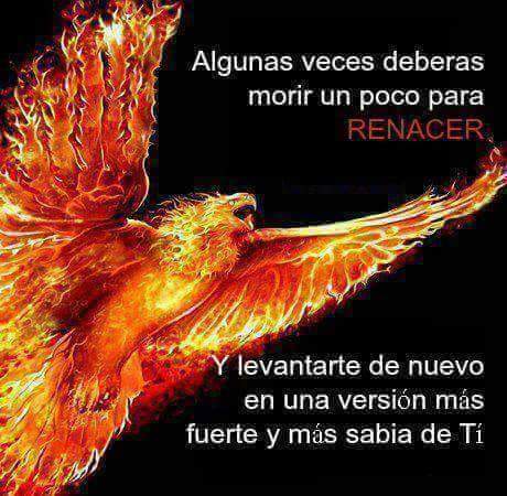 LuisPrimera18's tweet photo. Un día mas un día menos, mañana a continuar luchando para un mundo mejor.. https://t.co/CIUYMrbCa7