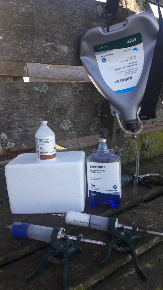 JuanCMuriel's tweet photo. Sábado por la mañana ejecutando plan sanitario pre parto en el rodeo de cría de un amigo en Tres Algarrobos #RotatecJ5 #Suplenut #Arrasa https://t.co/8P3gduaec3