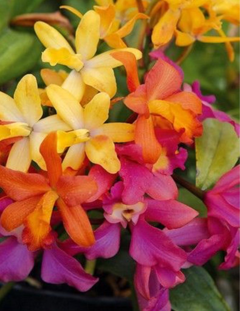 SergioA60798547's tweet photo. @eshahan345 @angelicagallegs @seaweed115B @SophiaKamy @omniajen @vuhtans @SiscoMGWV @LauraTM1DN @RaisAlGhousia @QuIcKsIgN2 @lv4gab @Silau25 @Blondy_Oficial @kleinslag @aLAURA2015 @mudzwhite_ @TM1DN @Quinnqueens @TIERNA_PASION__ @666_alhlwan @Stallion_Team @ELITE_LEGENDZ_ @GigiFollows @LiliBodo @Chuca_85 @SalvOasi @vivaciousStar2 @OptimumNaturae @GigiTFB @KedmaHelena1 @BadassK237 @koji2530112 @ginestarros @Ruby2211250220 @G1lima @adityasingh7865 @KKieks @ROLY_ELITE @Kvvvkvvk @BrettCateley @M_MartinezRed @ReRioPop @LilianaRicci4 🔝#ＴＭ1ＤＮ❤⚘
👇💗 
🔝#ＣＨＩＥＶＡ  
💗👇
🔝#ＴＥＡＭＡＩＫＡＭＵ
👇💗 
🔝#ＴＥＡＭＳＷＥＥＴ
💗👇
🔝#ＴＬＦ
👇💗 
🔝#ＥＬＩＴＥＬＥＧＥＮＤＺ
💗👇
🔝#ＶＵＨＴＡＮＳ
👇💗 
🔝#Ｇ_ＳＱＵＡＤ
💗👇
🔝ＴＨＥ ＢＥＳＴ
👆👆👆👆👆👆👆 https://t.co/aGvkV5Wzcn