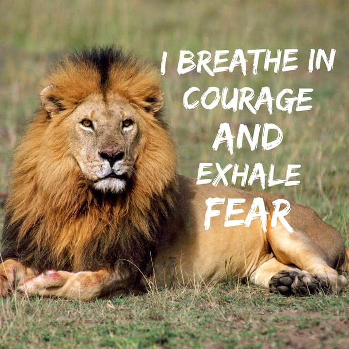 Darlene Louf tweet media