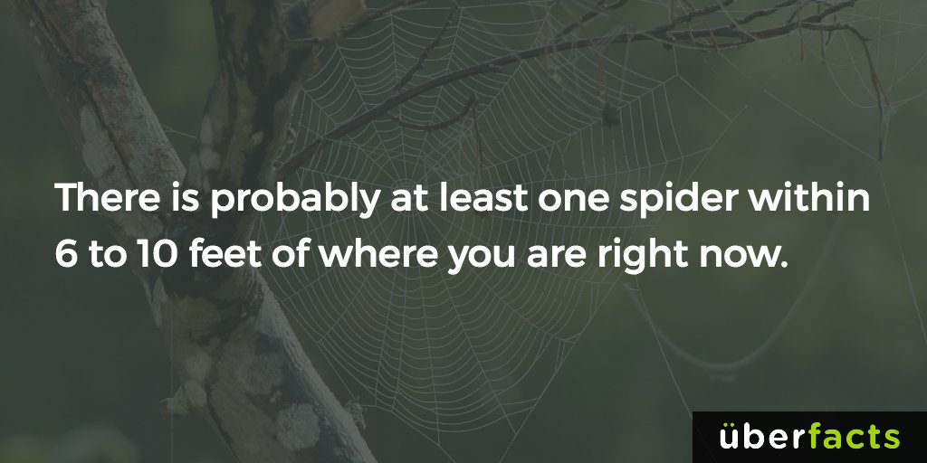 UberFacts's tweet photo. https://t.co/1mAorSr0DB https://t.co/0jRNJN52hf