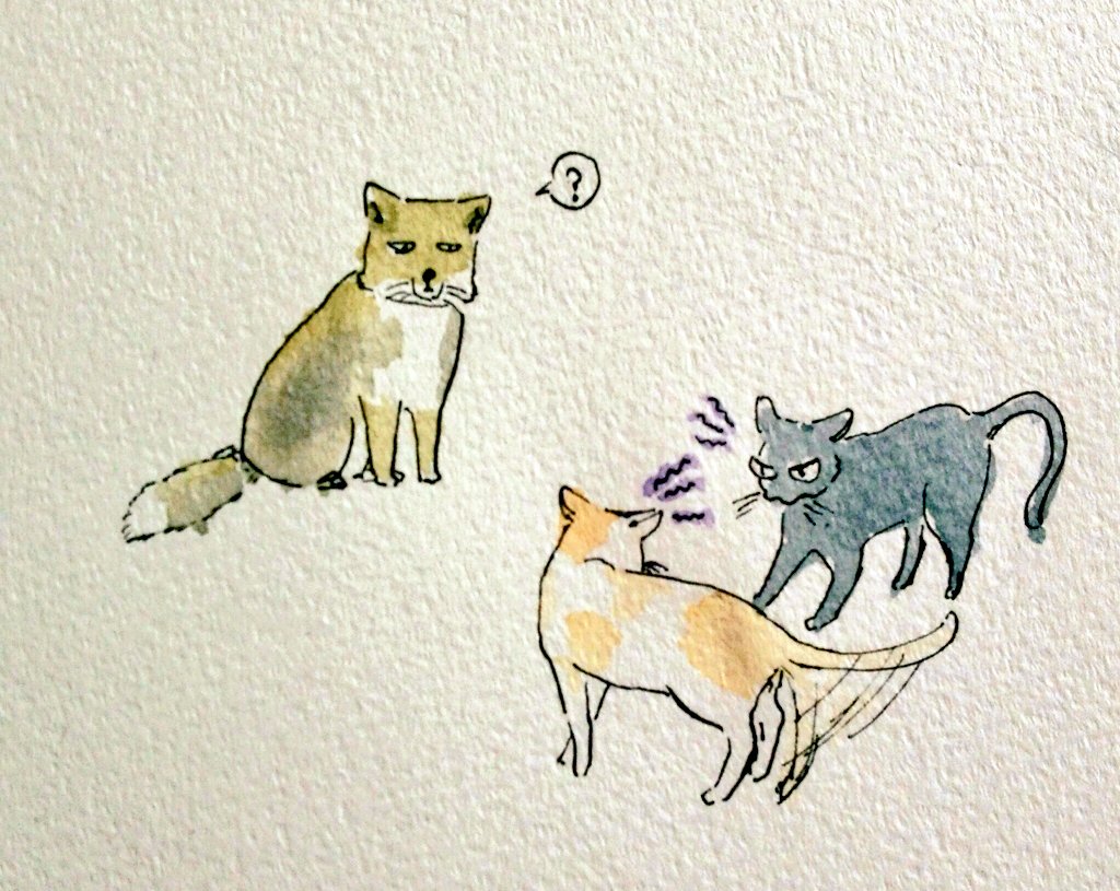 ハイキュー「今週ハイキュー 」|ぺんのイラスト
