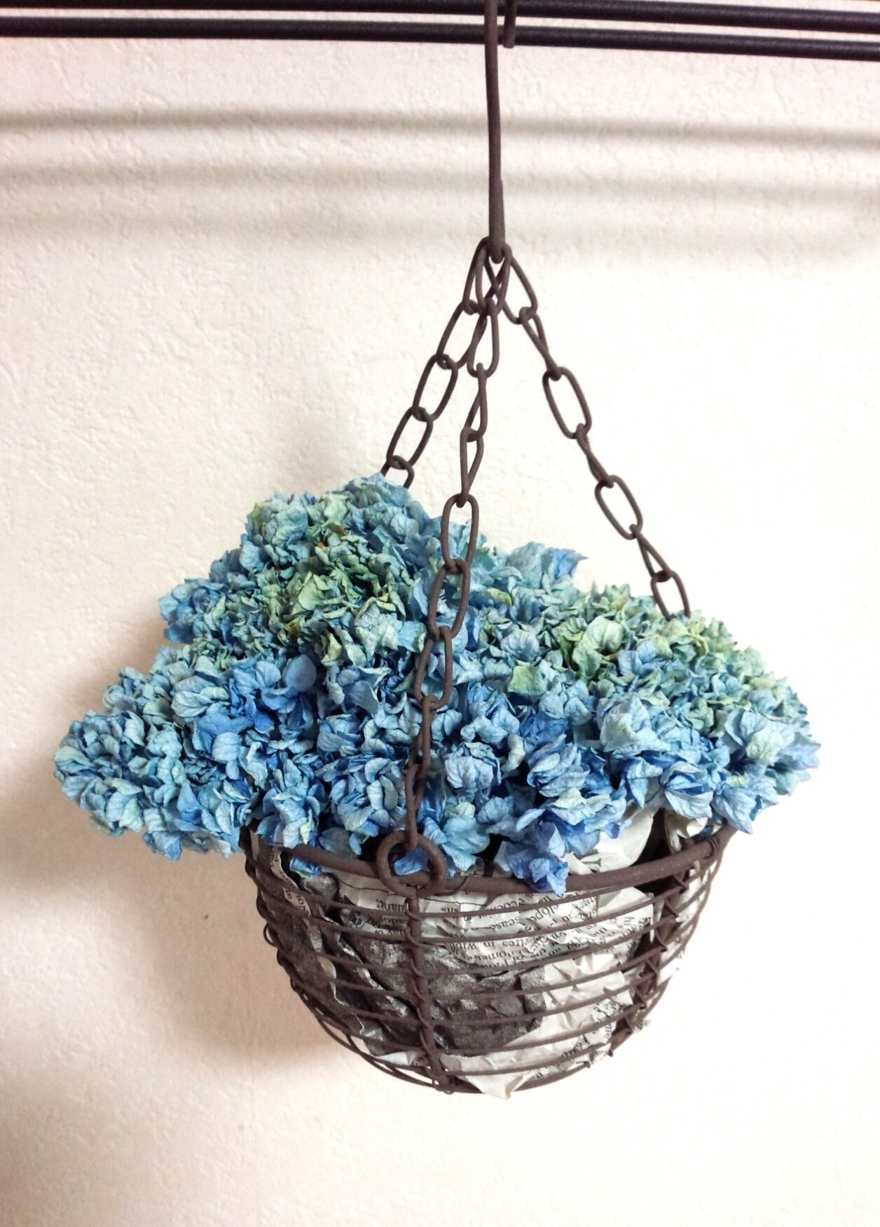تويتر そいくるくいる على تويتر ドライにしたてまりてまりさん さよならするのは可哀想なので ハンギングにしてみました こんもりで可愛いかも 階段下にでもぶら下げようかな てまりてまり 紫陽花 アジサイ ドライフラワー ハンギング インテリア