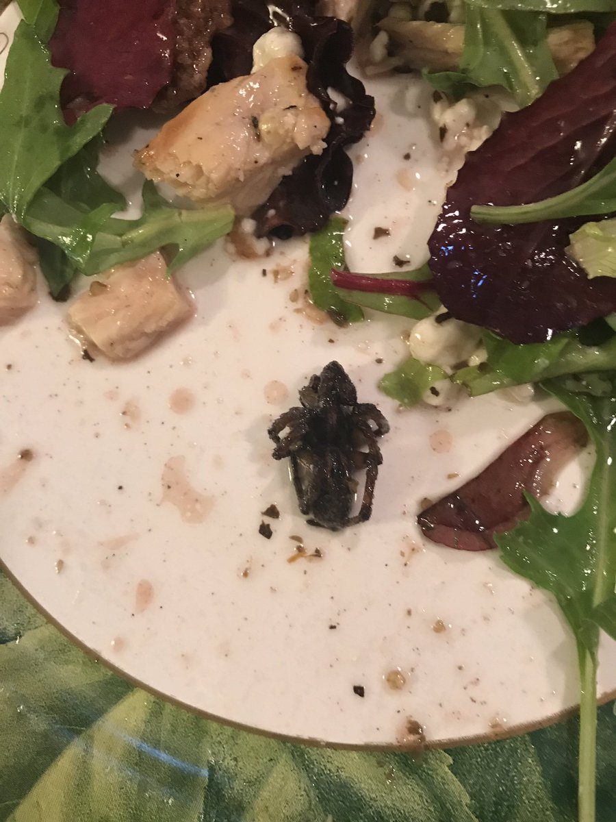 alyssalococo's tweet photo. LARGE HAIRY SPIDER was found in my @AldiUSA mixed greens salad. I'm so disgusted right now #aldi #spider #nevergotoaldi https://t.co/tKbomme95d