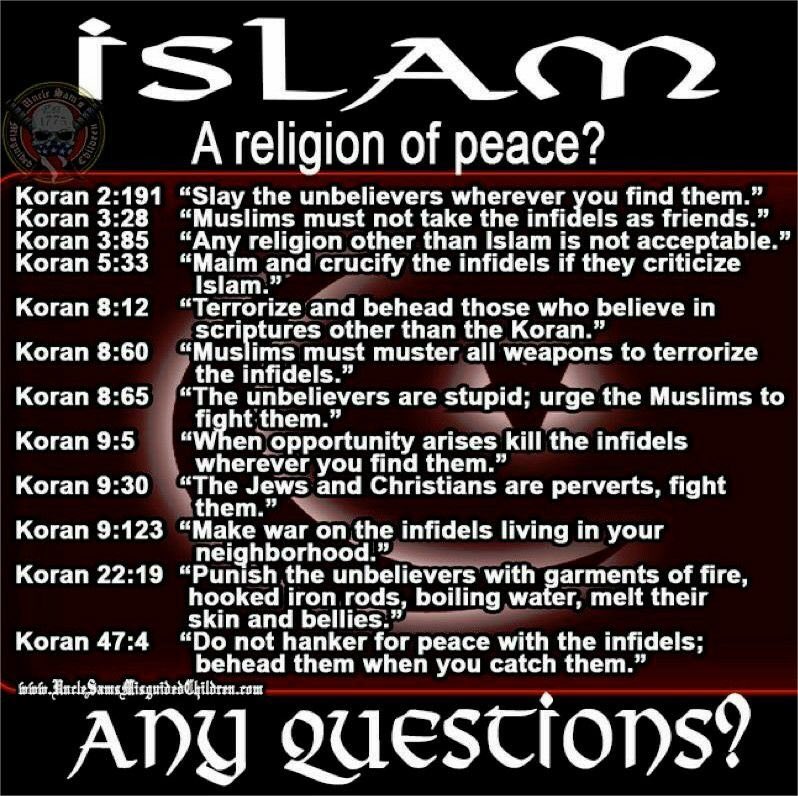 Renegade406's tweet photo. @FoxNews @MustafaTameez  https://t.co/cDBqFkfWB0