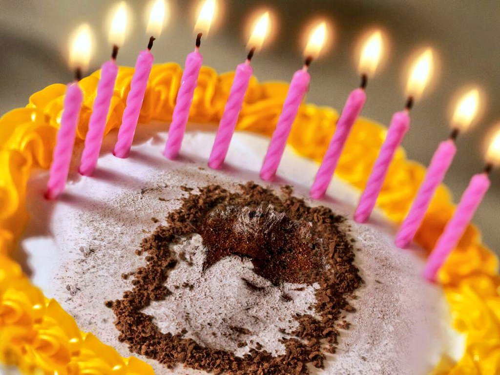 Happy Birthday Kim Hyun Joong

KIM HYUN JOONG            re:wind  