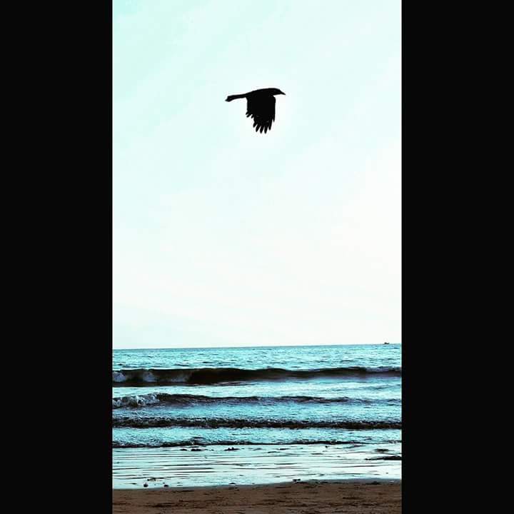 Navjots71336971's tweet image. #FunTimeWithFDD
@Gurmeetramrahim 
Good morning baba ji